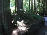 05 - Butchard Gardens  - IMGA0249